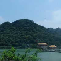 人類圖。療癒。下午茶