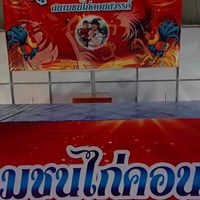 สนามชนไก่คอนสวรรค์