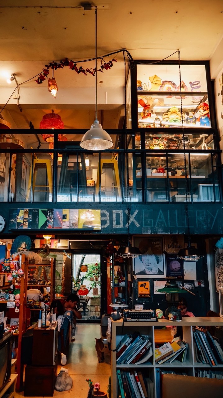 คาเฟ่แมวBoxgallery