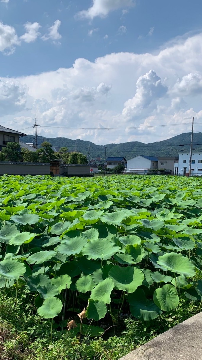 🥕自然栽培農家と消費者を繋ぐ🥕情報共有コミュニティ