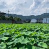 🥕自然栽培農家と消費者を繋ぐ🥕情報共有コミュニティ