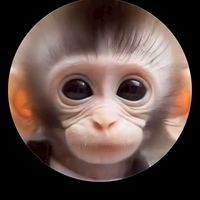 のんびり🐵🌈