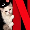🎬Netflix Spotify 串流開團中🎵