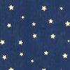 プラネタリウム：戦争屋ハント