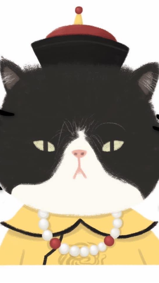 給朕過來！！貓奴聊主子