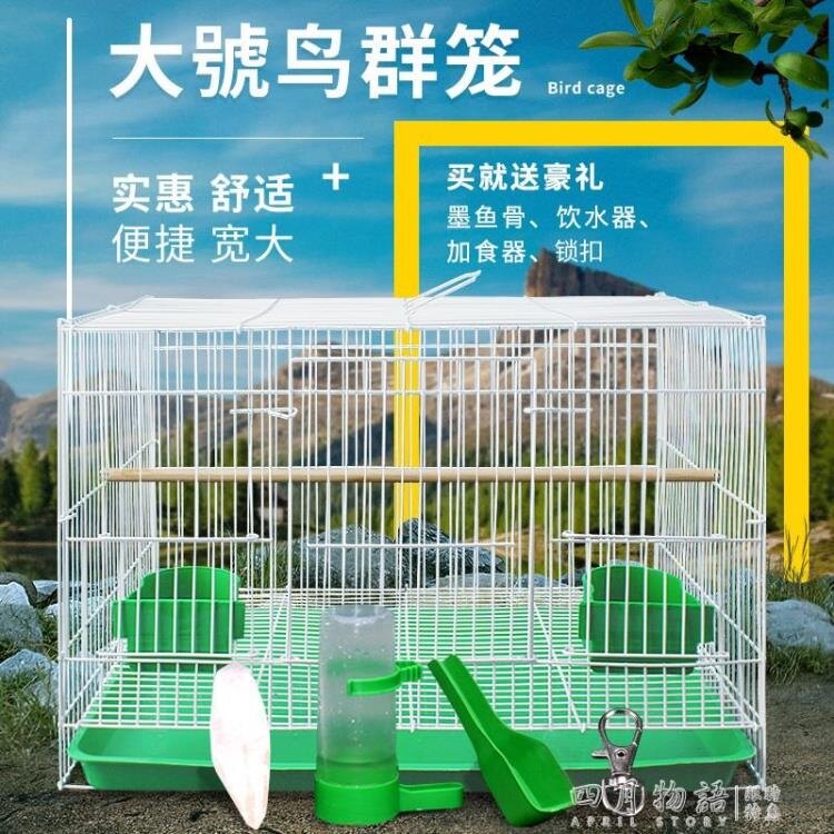 鳥籠鴿子籠虎皮鸚鵡文鳥八哥繡眼百靈鳥籠子大號超大繁殖養殖家用