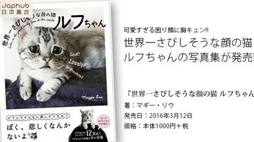 世上最令人困擾的貓 終於出寫真集 Line購物