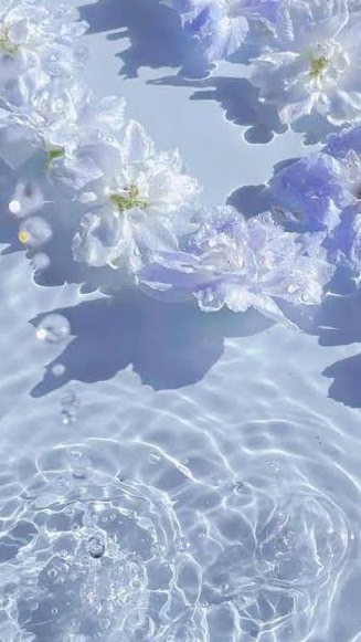 水色系統生活音ℝ𝕠𝕠𝕞 ㅤ🧊🫧