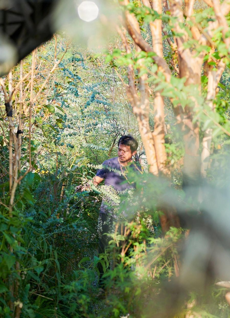牛津鞋不是雕花鞋 因此景觀設計也絕不只是園藝而已 下 專訪太研規劃顧問設計有限公司吳書原景觀建築師 Line購物
