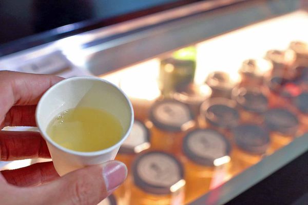 【板橋美食】8more白木耳專賣店-豐富植物性膠原蛋白、清爽無負擔的好飲品