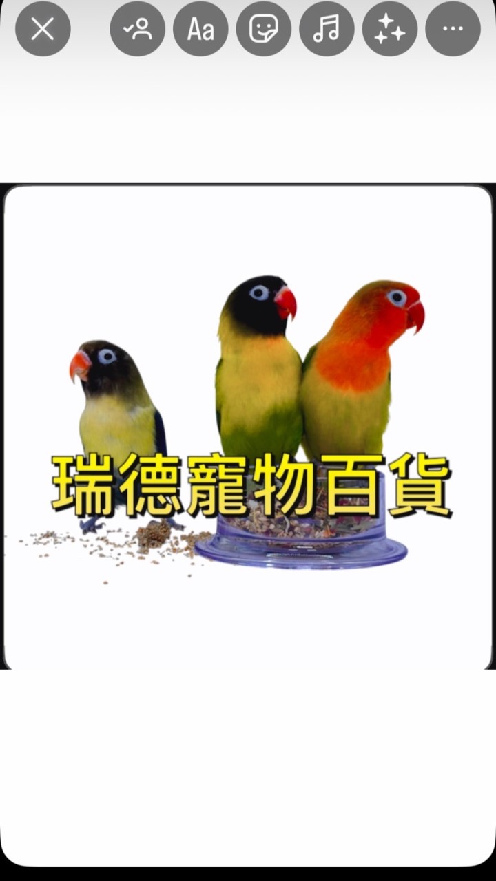 🦜瑞德寵物百貨