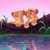 ライオンキング好きな人集まれ〜🦁