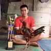 ดรีม ไก่ชน