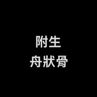 附生舟狀骨🦶