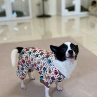 吉時寵物零食、寵物用品