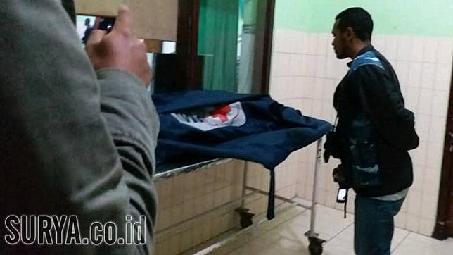 Sasa Ternyata Anak Asuh Pemilik Anjing Pitbull Polisi Cari Ibu