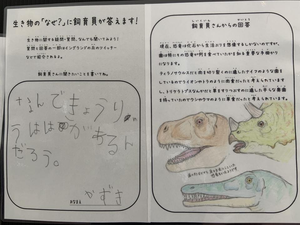 未知の生物「ザリガニヒヨコキンギョ」爆誕 飼育員への質問に対する