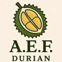 A.E.F.