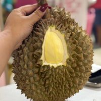 ร้านแม่ค้าใบเฟิร์นสาขาพัทยา