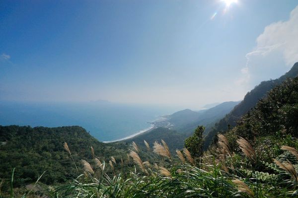 北部芒草季 東北角草嶺古道賞芒草