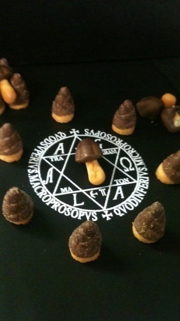 🎋きのこたけのこ戦争🍄