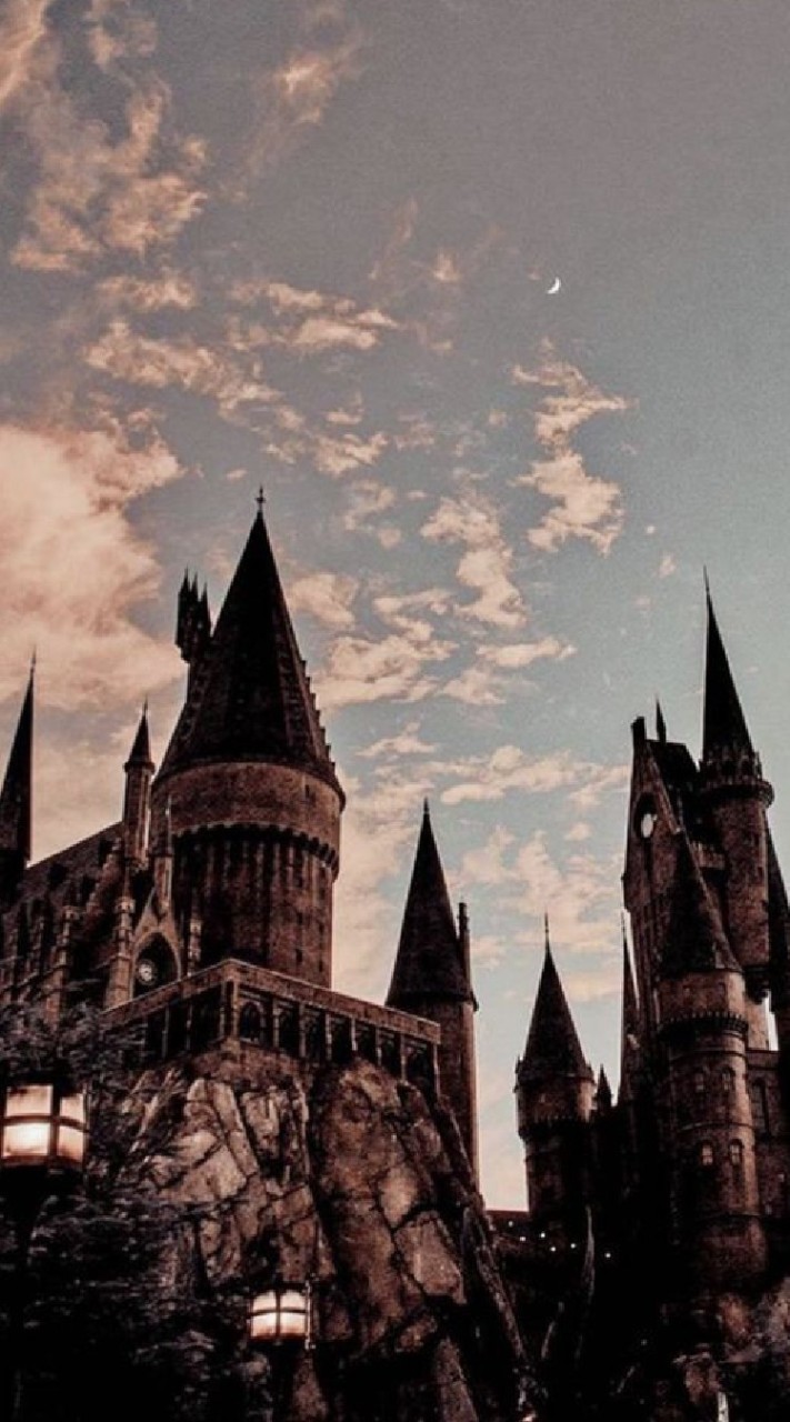 🏰𝒉𝒐𝒈𝒘𝒂𝒓𝒕𝒔 𝒔𝒄𝒉𝒐𝒐𝒍🏰
