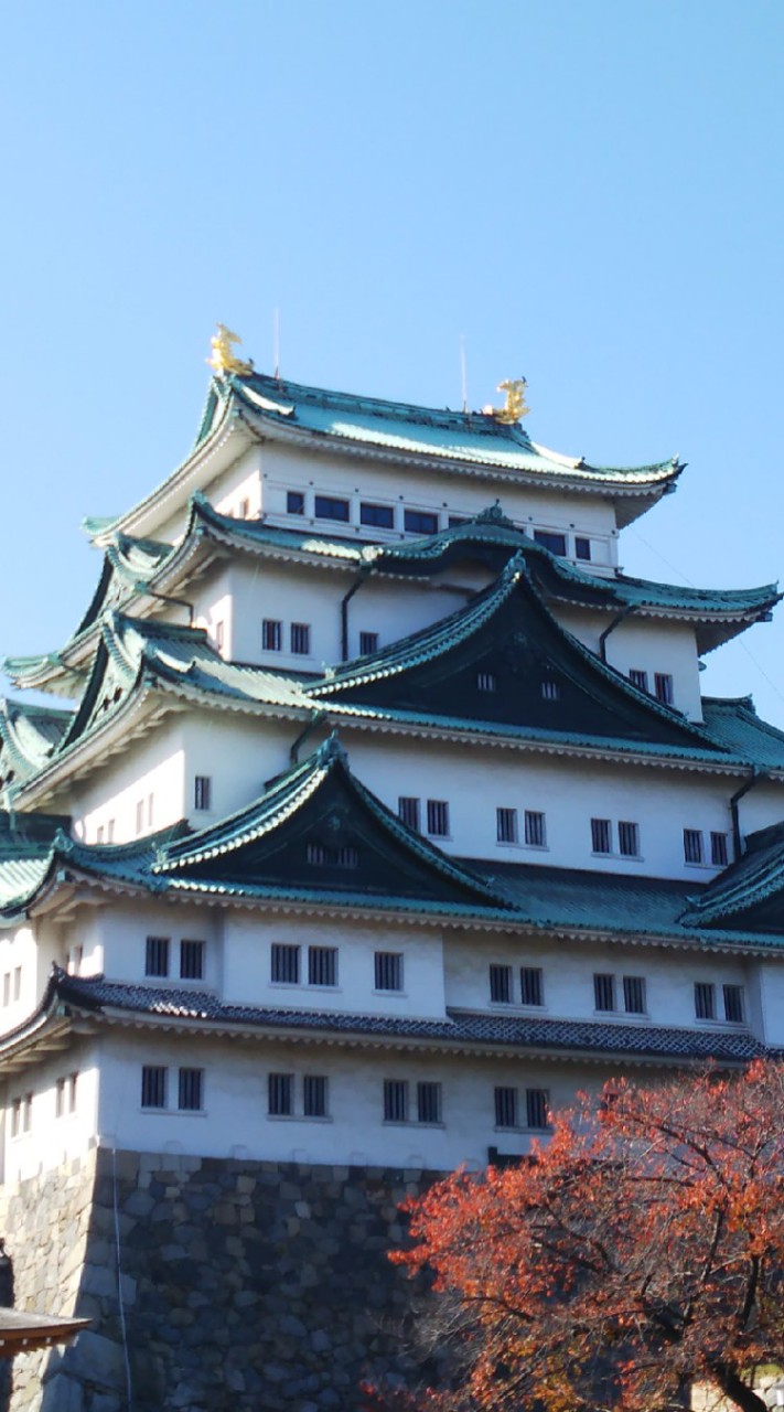 名古屋.熊本.伊達武将隊好き集合！のオープンチャット