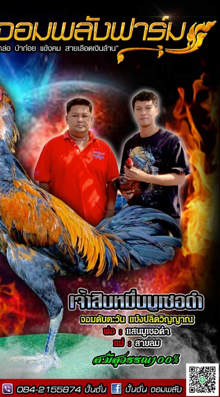ปั้นจั่นจอมพลัง