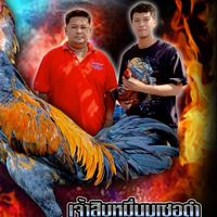 ปั้นจั่นจอมพลัง