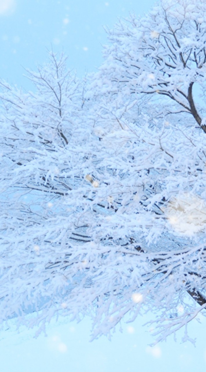 ❄ポラリス憩いの場