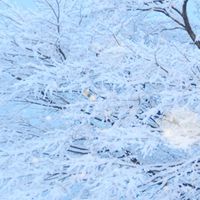❄ポラリス憩いの場
