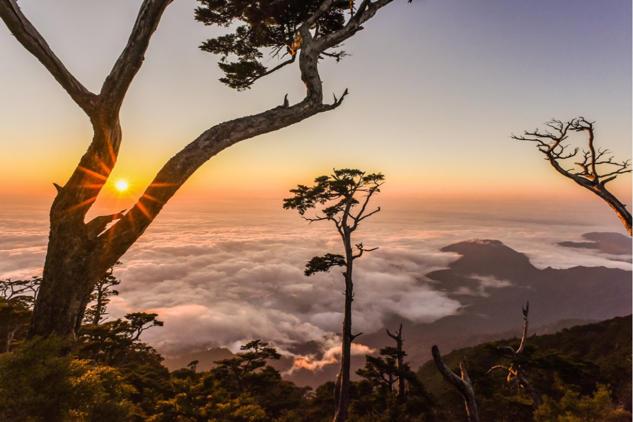 屏東「拾美步道群」介紹｜屏東10條森林秘境登山步道介紹看這篇
