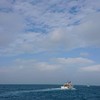 澎湖海鮮配送