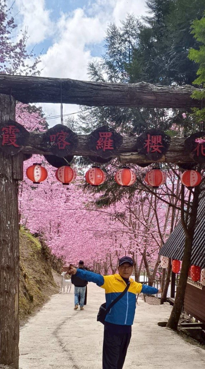 3/3霞喀羅櫻花祭