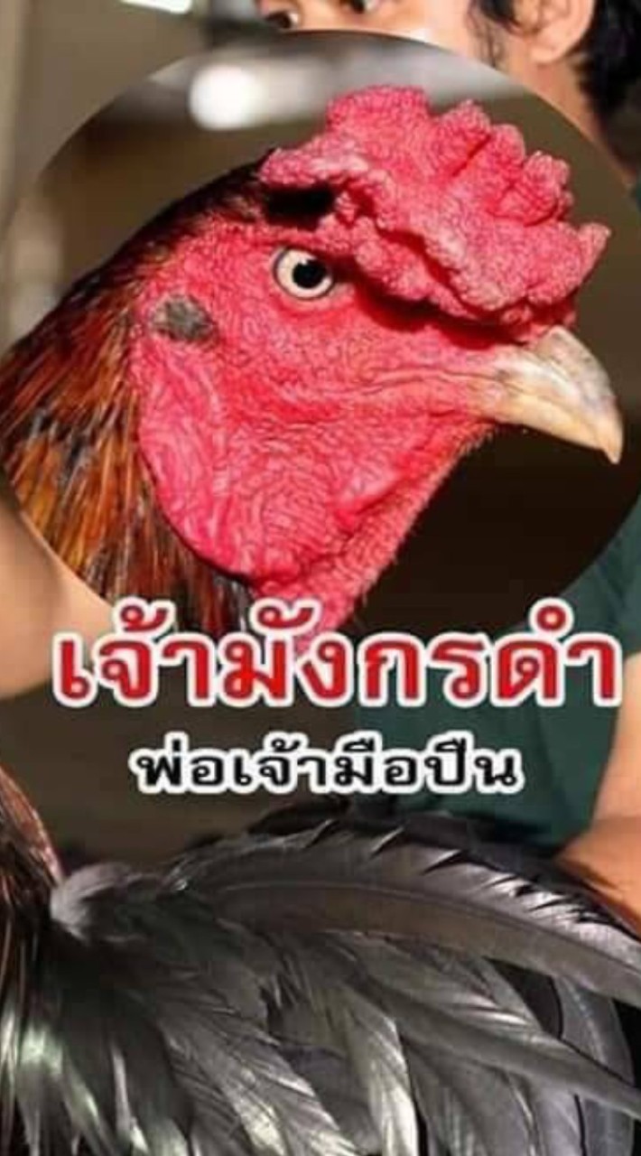 ซุ้ม.เพชรราชันย์ (ป๊อก)088-0332327