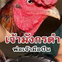 ซุ้ม.เพชรราชันย์ (ป๊อก)088-0332327