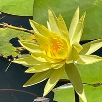 碧華（新）漂亮媽咪