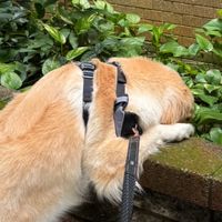 MIRU代購 日本代購 香港代購