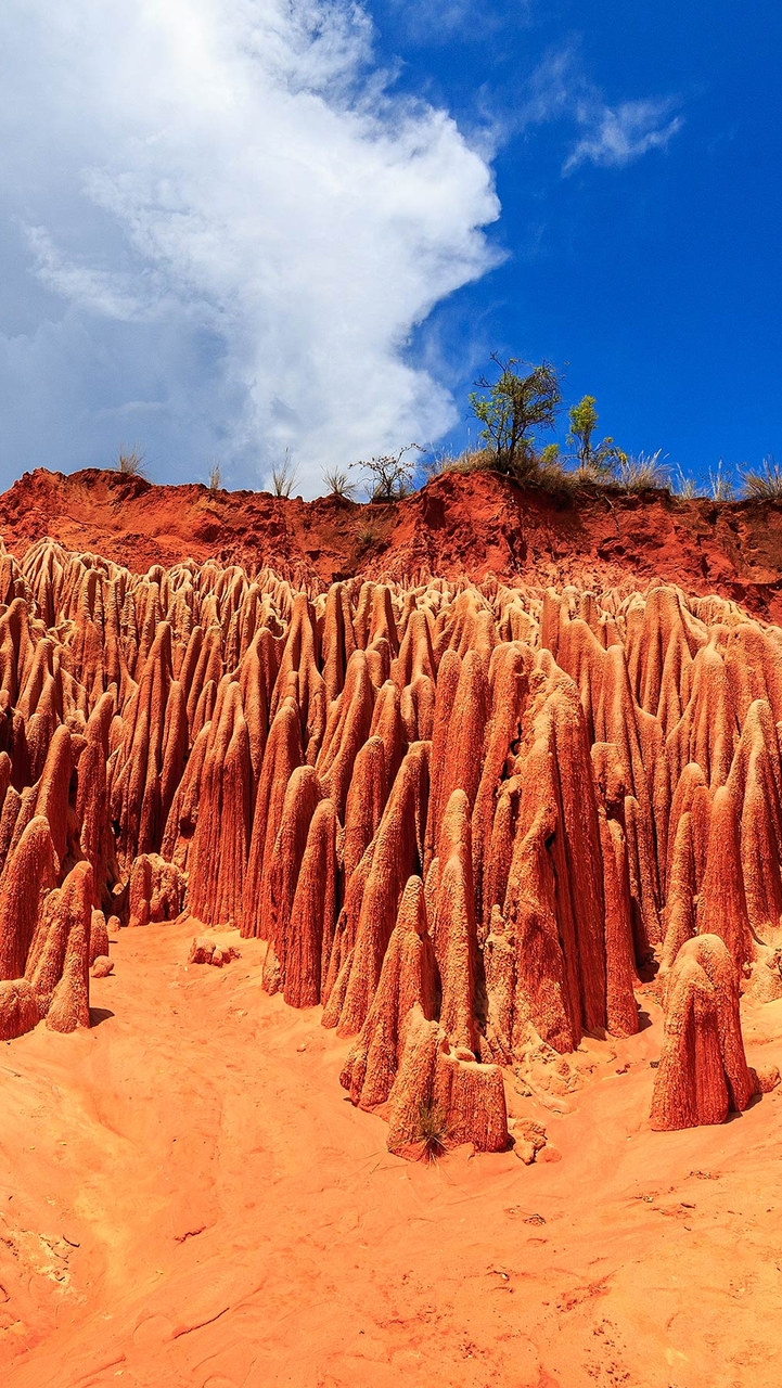 115年玉井工商旅平險