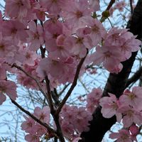 🍀オプチャの縁　それでも縁