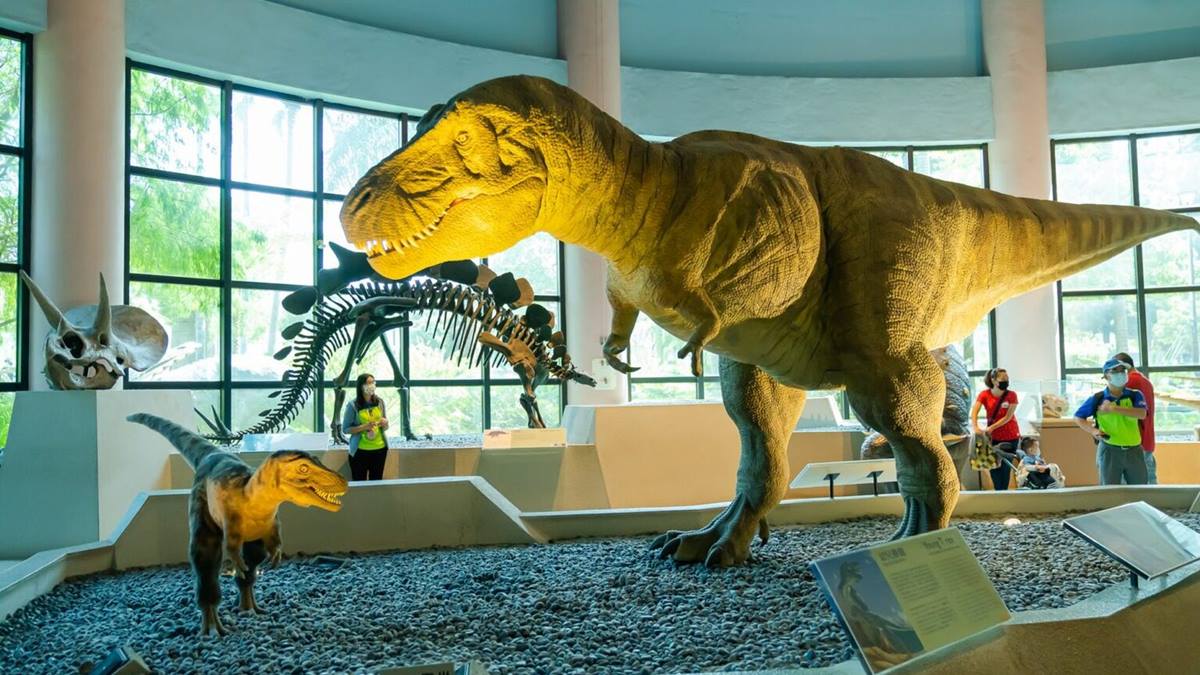 爸媽周末免煩惱！台中10大最強親子景點：破千坪室內樂園、免門票小小駕訓班