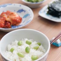 Alice商店-日本食器