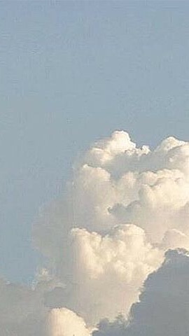 ㅤ OpenChat