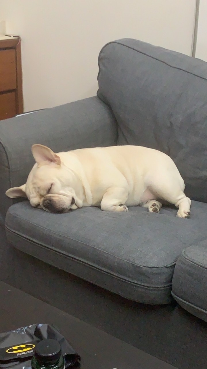 小幫手群～
