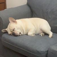 小幫手群～