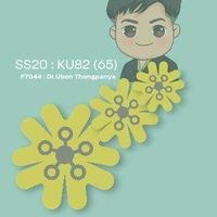 อาจารย์ที่ปรึกษา SS20-65