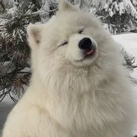 躺平系學會