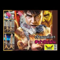 ม.ยิปมัน ไก่ชน