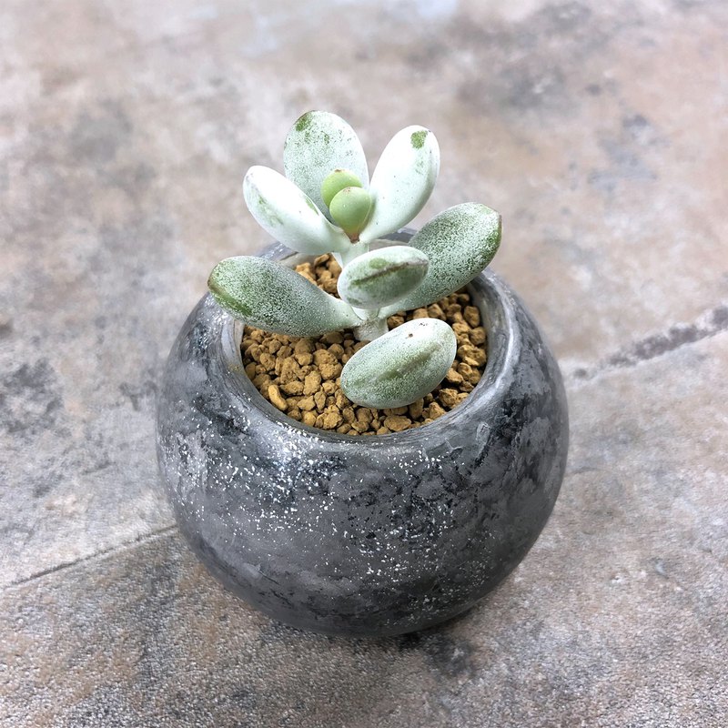 天然塗料－石灰Stucco及礦物色母塗裝而成。以工藝精神，一層一層的覆於水泥上。 擁有仿大理石紋的高雅、溫和與天然的視覺效果，是溫暖家中的理想擺設。