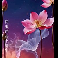 🪷🍀荷荷美美好運蓮蓮美群🍀🪷